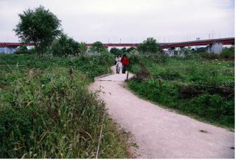 강서습지 생태공원