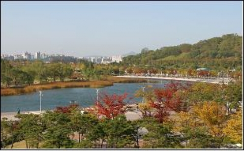 월드컵공원 난지연못(느티나무 등) 