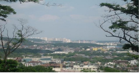 사직동 산1-10(사직근린공원)