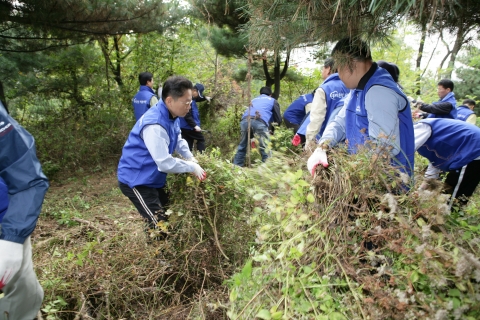 우리은행, 남산 자연보호활동 전개