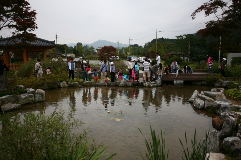 경기도 민물고기 연구소의 야외 연못(경기 양평 - 여행작가 이동미)