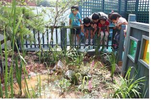 의왕 자연유치원 옥상녹화