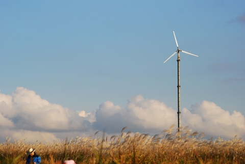 억새와 어우러진 하늘