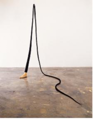 특별전_Aperto 신예선 이식된 발