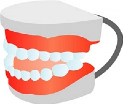 잇몸도 예뻐야 미소가 완성 된다