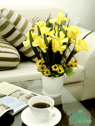 웨코트 코리아의 후리지아