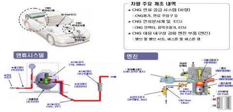 친환경 CNG 개조현황