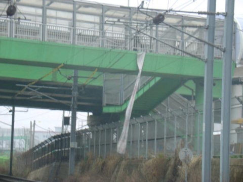 육교 비닐 걸림