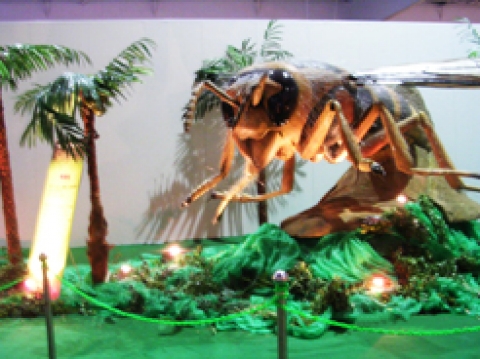 거대로봇 곤충1.