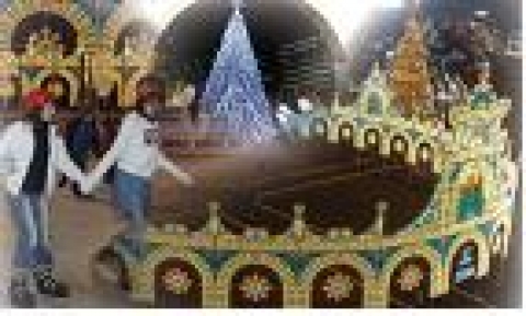 서울광장 스케이트장 개장