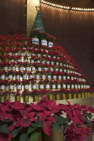 Share the Joy of Christmas through the “Christmas Tree of Hope”...Grand InterContinental Seoul