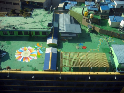 동화, 꽃을 피우다