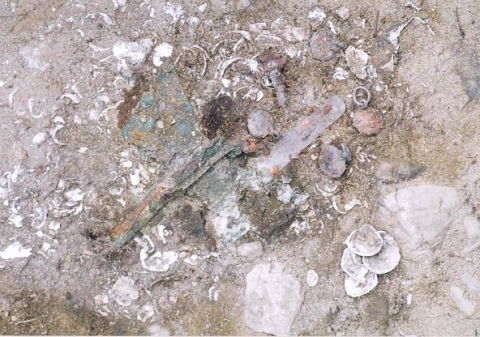 금동제 호접형 관모장식(초당동 84-2번지 출토)