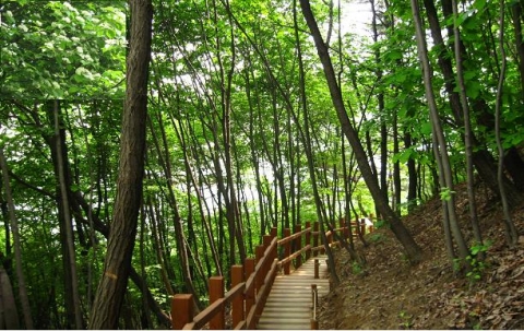 은평구 봉산 팥배나무숲 생태경관보전지역