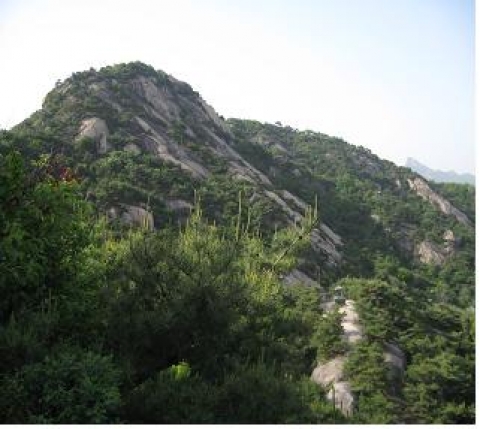 인왕산 정상(종로구 지역)