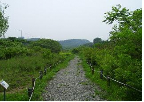 고덕수변 생태복원지 둔치지역