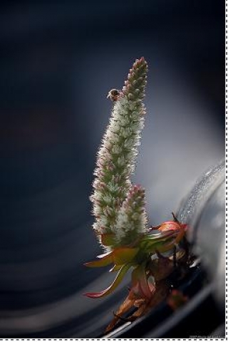 우수상 - 와 송(김호준)