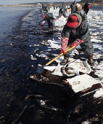 복구 전 사고 첫날 신두리 해수욕장 모습