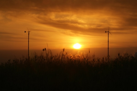 하늘공원에서 본 일출 장면