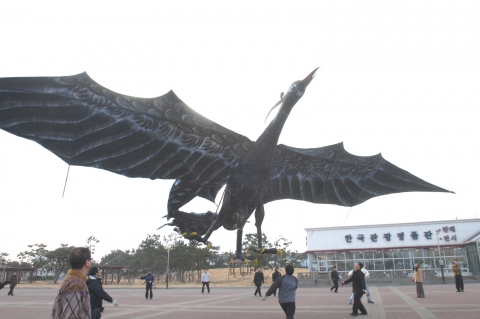 24일 포항시 남구 대보면 호미곶 해맞이 광장에서 열린 ‘한민족해맞이축전 2008’리허설 현장에서 초대형 삼족오연이 힘차게 날아오르고 있다