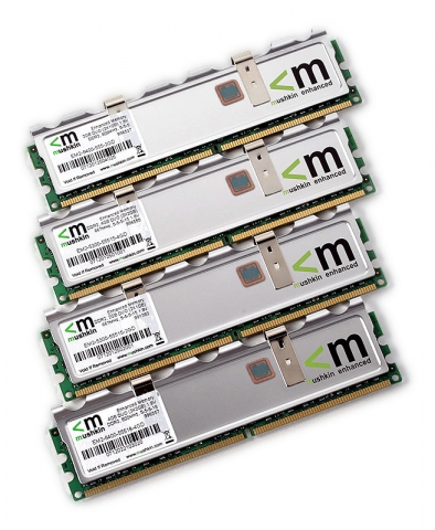 (주)디직스세미콘 머스킨 PC 메모리 EM2 에디션 제품 사진