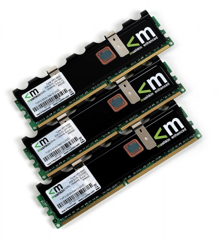 (주)디직스세미콘 머스킨 PC 메모리 XP2 에디션 제품 사진