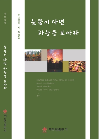 시집 「눈물이 나면 하늘 보아라」(해드림출판사) 표지