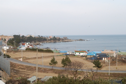 포항시 대보면 강사리 고래생태마을(다무포) 전경