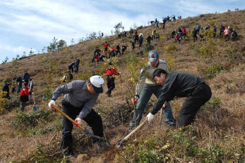 올해 첫 나무심기 행사 사진자료(전남 신안)