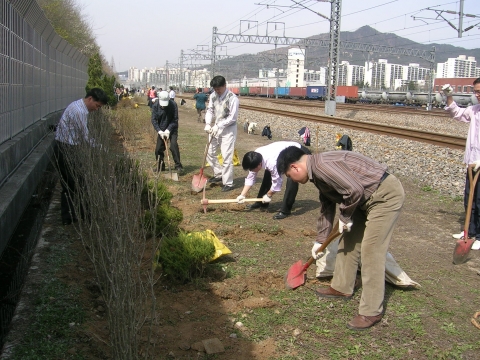 철로변 식목행사 모습