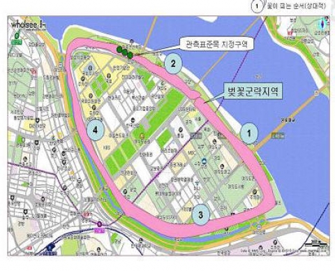 서울 여의도 동-서로 벚꽃 군락지 지정구역