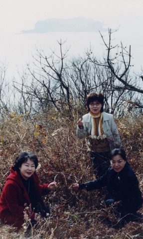 선유도에서 2