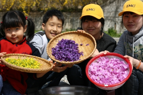 한국EMC 임직원들과 자녀들이 자매결연 마을인 충북 청원군 연꽃마을 주민들과 함께 진달래, 제비꽃, 개나리 등으로 화전을 만들고 있다