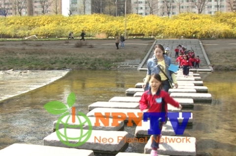 청계천 생태 탐방
