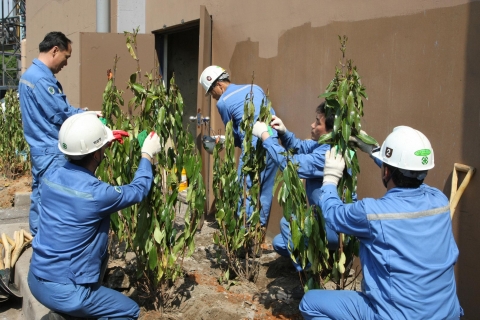 2연주공장 직원들이 ‘아왜나무”를 심고 있다.