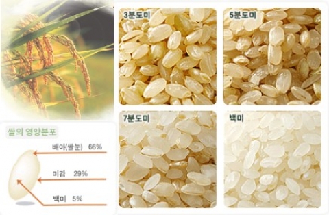 유기농 나락 즉석 도정 5분도미 판매사업자 모집