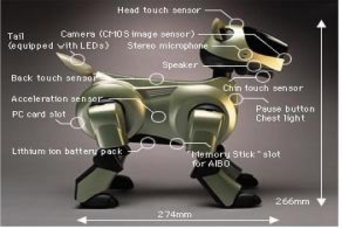 아이보(Aibo - 일본 소니)