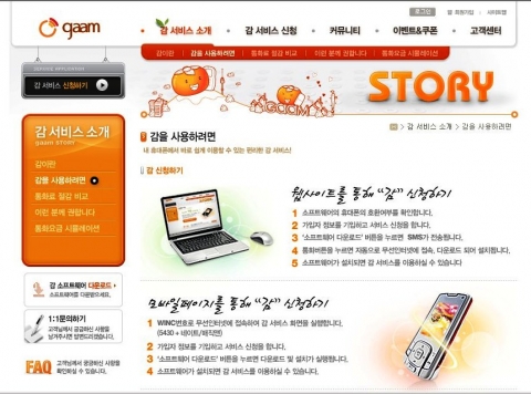삼성네트웍스, 감서비스 웹사이트