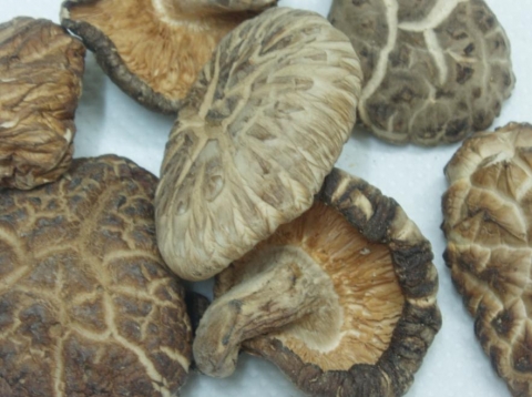 말린 표고버섯 - 성장에 도움을 주는 음식