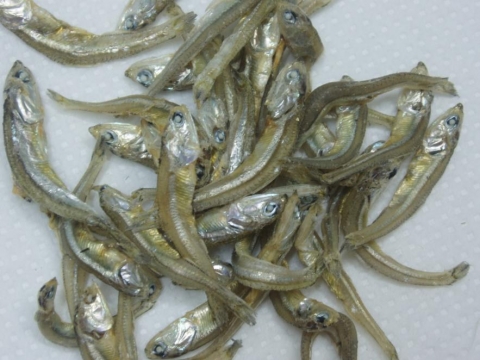 멸치 - 성장에 도움을 주는 음식