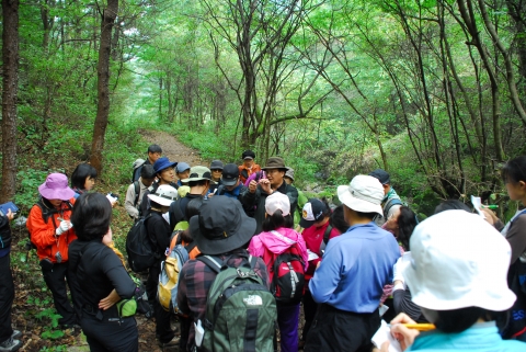 숲연구소(소장 남효창, www.ecoedu.net)에서는 일반인을 대상으로 오는 7월 1일부터 29일까지 ‘숲생태아카데미 입문과정’을 시작한다고 18일 밝혔다.