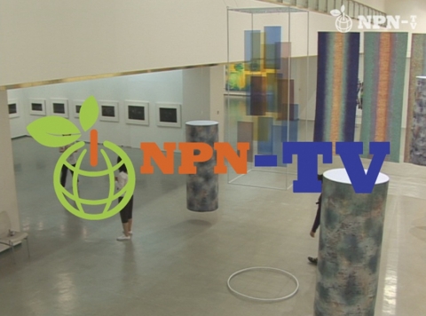 NPN-TV, 쉬운 현대미술  ‘미술의 표정 전’ 방영