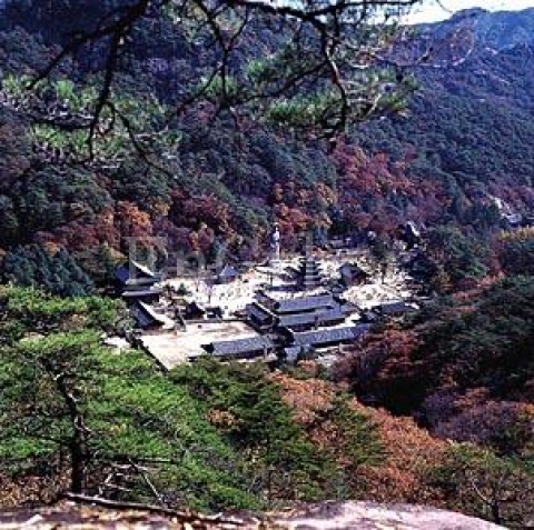 숲연구소(소장 남효창, www.ecoedu.net)에서는 일반인을 대상으로 오는 7월 26일부터 1박 2일 일정으로 ‘속리산 생태 트레킹’을 실시한다고 8일 밝혔다.