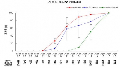서울의 벚나무 개화시기