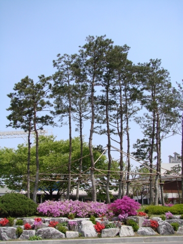 서부사료 솔바람광장