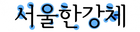 서울한강체