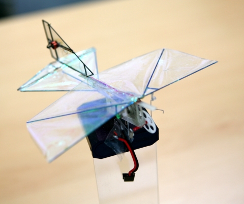 건국대팀이 EU초소형비행체 학술대회 및 경연대회’(EMAV 2008 :European Micro Air Vehicle Conference & Flight Competition)에 참가, 실내 다이내믹 비행부문에서 3위에 입상한 15cm짜리 초소형 비행체.