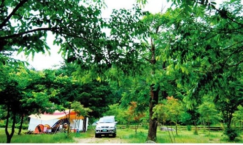 오대산국립공원 소금강야영장 전경