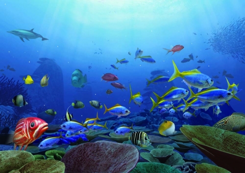 Aquanaut&#039;s Holiday의 스크린 샷