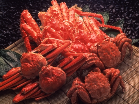 하나투어, 지역별 대표 요리 맛보는 ‘일본 맛집기행 시리즈’ 출시